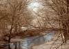 5x7 Print - Sugar Creek